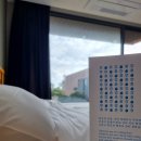 솜솜이네 이미지