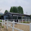 탑(TOP) 승마클럽 이미지