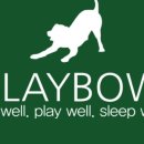 플레이 바우 이미지