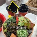 진교중학교 이미지