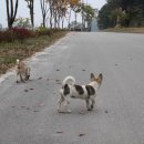 이른아침민박 이미지