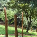 샘터놀이터 이미지