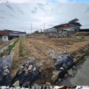 청산공인중개사사무소 이미지