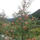 승희네농장 이미지