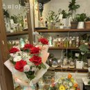 수피아플라워 이미지