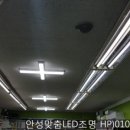 노원 종로약국 이미지