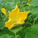 성내마을회관 이미지