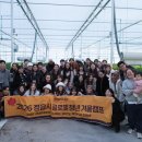 홍민농장 네이버블로그