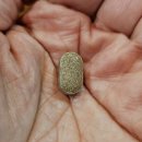 스파이크밸런스 이미지