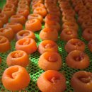 진미푸드 | 2026 산청곶감축제 일정·장소·주차정보 총정리｜지리산 기후가 만든 산청 진미농원 곶감 맛의 비밀