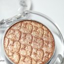 머슬프리덤 이미지