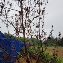 승모농장 이미지