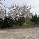 문라이트캠핑장 이미지