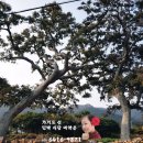 종이섬민박 이미지