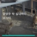 남양주 락 실내바다 낚시터 | 남양주 락 실내바다 낚시터 서비스 안내와 위치 정보