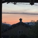 꽃냥이네 촌집 이미지