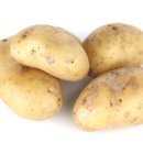 부흥 농장2 이미지