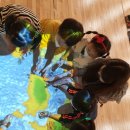 솔빛유치원 이미지