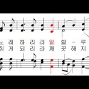 파스카 이미지