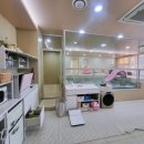 워시엔조이관저계백로점 | 대전 키즈풀 대관 [워터베베 관저점] 내돈 내산 솔직후기!