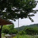 내린천 황토마을펜션 네이버블로그