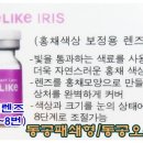 트랜디카안경원 이미지