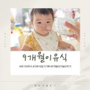 299 | 9개월이유식 횟수 분유양 수유량 수유텀 횟수 299일 아기 후기
