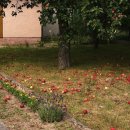 바른행정사 이미지