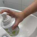 클린워시 | [도프앤도프] 퍼퓸드 클린 핸드워시 사용 후기