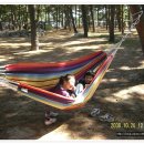 갈천오토캠핑장 이미지