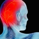 모란튼튼척의원 이미지