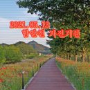 정동1교 이미지