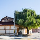 삼다체육공원 입구 경기도뉴스