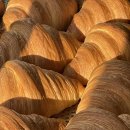 남원생활체육관 이미지