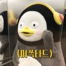 주식회사 커머스킹 | [후기] 2월의 내돈내산 :: 약부터 칫솔소독기까지