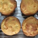 도로시팜 이미지