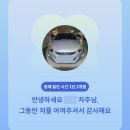 차빛나스팀세차