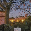 힐링소울 이미지