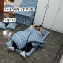 진성트레이드 | 2025