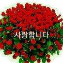 연세빌딩 이미지
