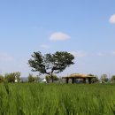 강나루생태공원 이미지