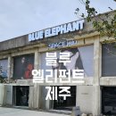 블루스페이스 PC방(시청점) | 구좌읍 블루엘리펀트 제주,수퍼플라워카페 B1,공백주차장 할인