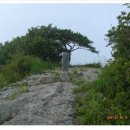 요산마을회관 이미지