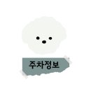 강아지홀릭 | 부산 동래 강아지 수제간식 달래홀릭 케이크 주차정보 간식 기호성 후기