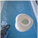 더블루네스 이미지