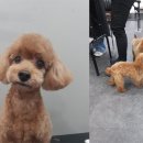 이룸뷰티미용학원 이미지