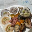 도시속바다 이미지