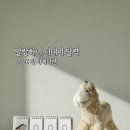 아이템데이 | 말랑하니 디데이달력 | 말띠 에디션 후기