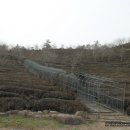 점말농장 이미지