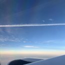 디스민박 | 1일차 : 에어프레미아, 미국입국심사,미국 코스트코, 인앤아웃, LA한인민박, 현지인 피자 맛집, 트레이더조